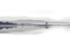 2022年属虎年运势女