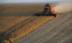 梦见汽车轮胎被盗是什么意思