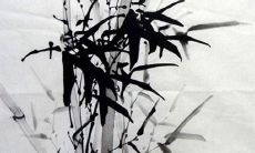 2022年属蛇全年运势1977