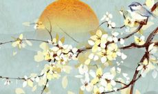 周易免费测运势2022年