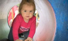 梦见坟上长树开花是什么意思