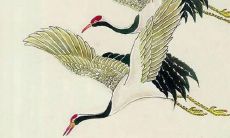 十二星座会毫无节制的使用金钱吗