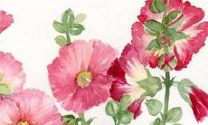 83年属猪人三大劫难