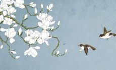 74年属虎47岁以后的一生命运