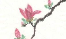 1977年属蛇2022年