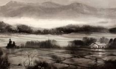 生辰八字流年运势2022年