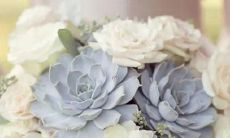 何以解忧？只能背包去春游的星座