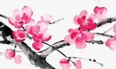 74年属虎佩戴什么饰品最好