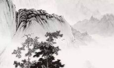 2022年运势生肖虎运势详解