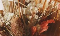 不盲目攀高 一味求大的星座