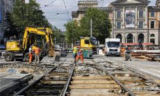 梦见蒜苗预示什么 梦到蒜苗好不好