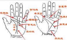 财运线是斜的代表什么