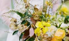 和父亲星座一样吗