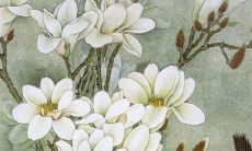 属蛇人2022年命运