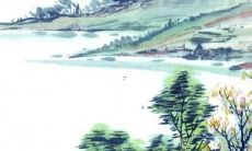 属牛虎年运势2022完整版