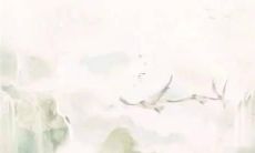 2022年生肖牛的运势排名