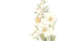 带千字的男孩名字 霸道大气男生名字推荐