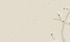 2022马年运势哪个月出生最好