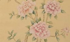 辛巳男在2022年的运势