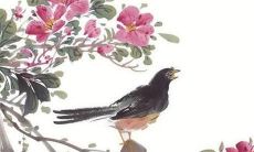 2022年 属马人运势