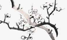 猴人68年女2022年运势