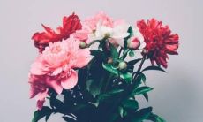 12星座女被夺走初吻会说什么