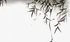 74年属虎女2022年