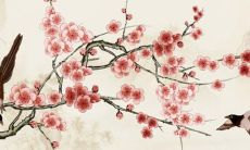 癸水女在2022年的运势