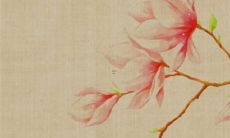 属猪女人2022年7月健康运程预测 身体透支注意休息