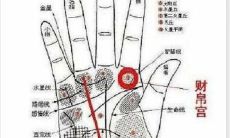 分析智慧线很短的女孩子性格命运如何 智慧线分叉好不好