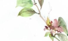 犯太岁会有什么事发生