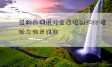 属狗的佩戴什么最旺财2022 旺财之物是黄金