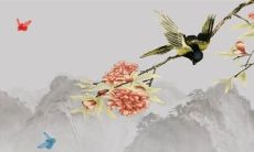 日期星座农历还是阳历