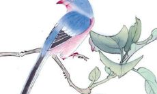 属鸡女在2022年运势咋样