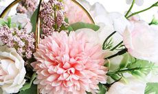 哪些星座是爱自由的行动派