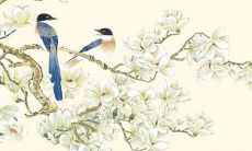 2022属兔每日运势