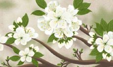 虎人2022年情感运势