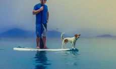 与时尚买手相关的大学专业