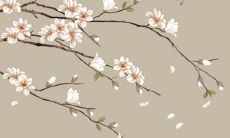 74年属虎何时走大运李居明