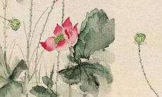 2022年属龙人感情的运势