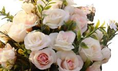 郑凯和女友星座一样