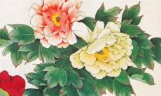 属虎1974年2022年的运势