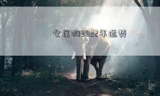 女属狗2022年运势