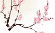 62年属虎一生三大坎