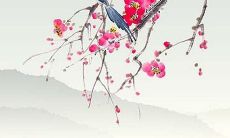 辛金日主官杀透天干2022年运势