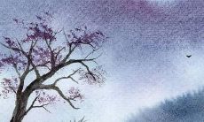 62年属虎男2022年每月运势