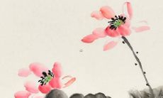 五行属火可爱的男孩乳名 名字寓意及解释