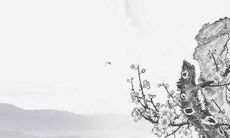 81年出生的属鸡的男命2022虎年运气怎么样