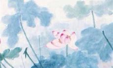 2022年属牛终于转运了