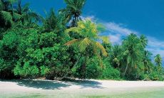 梦见七彩祥云和彩虹是什么征兆